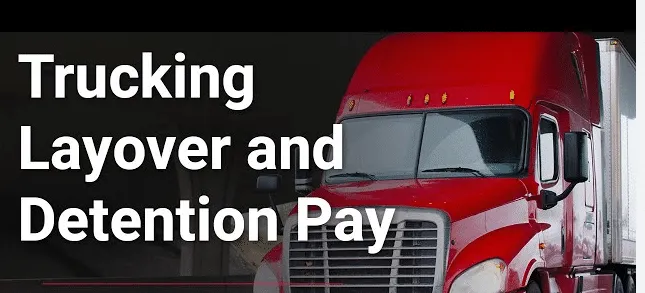 The Unexpected Consequences: How Requesting Compensation Led to a Report on Carrier 411